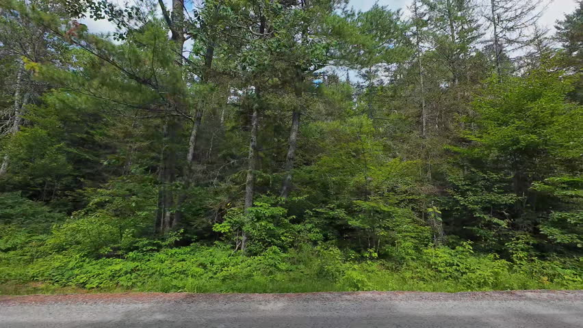 Left side pov point of view car vehicle driving at Burk's Falls Ontario, Pickerel Lake area scenic epic road with cloudy blue sky and green fir trees by rural countryside wilderness. Wide angle view.