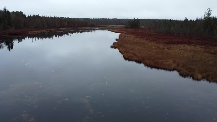 Serene wetland scene featuring calm reflective water of Minnesota, autumn foliage and dense forest under a cloudy, misty sky.