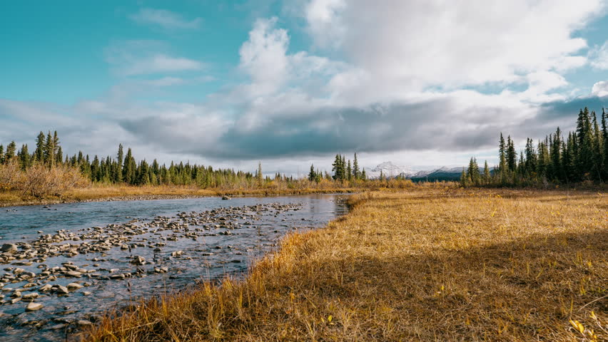 Timelapse of an idyllic stream flowing towards a mountain in autumn in Denali National Park near Mt. McKinley, Denali