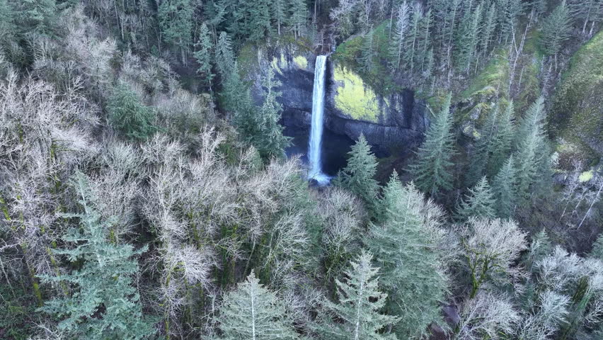 The impressive Latourell Falls flows out of a healthy forest in the Columbia River Gorge National Scenic Area, Oregon. The gorge, not far from Portland, contains a plethora of beautiful waterfalls.