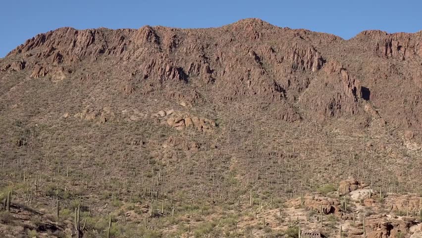 saguaro national park arizona USA