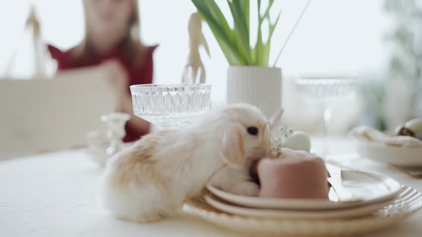 A playful bunny gently steps on a set of delicate plates, its soft paws leaving subtle imprints as it hops from one to another.