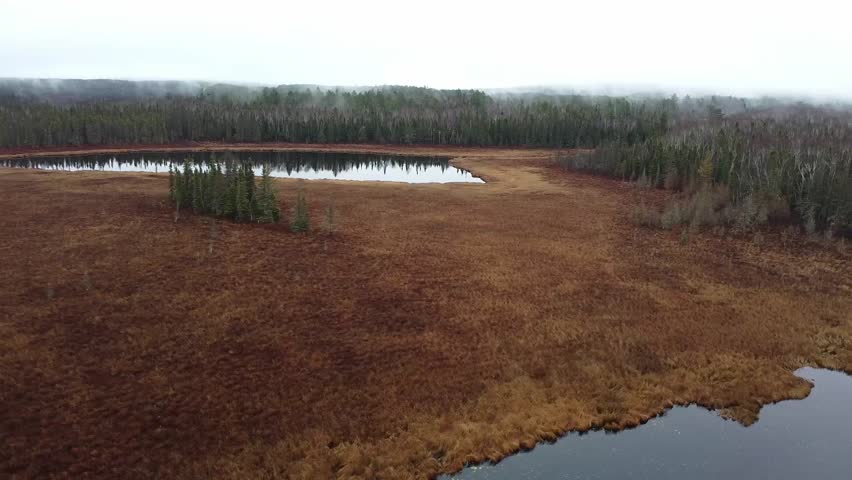 Reflective wetland in the Boundary Waters Canoe, surrounded by autumn grasses and dense forest under an overcast sky