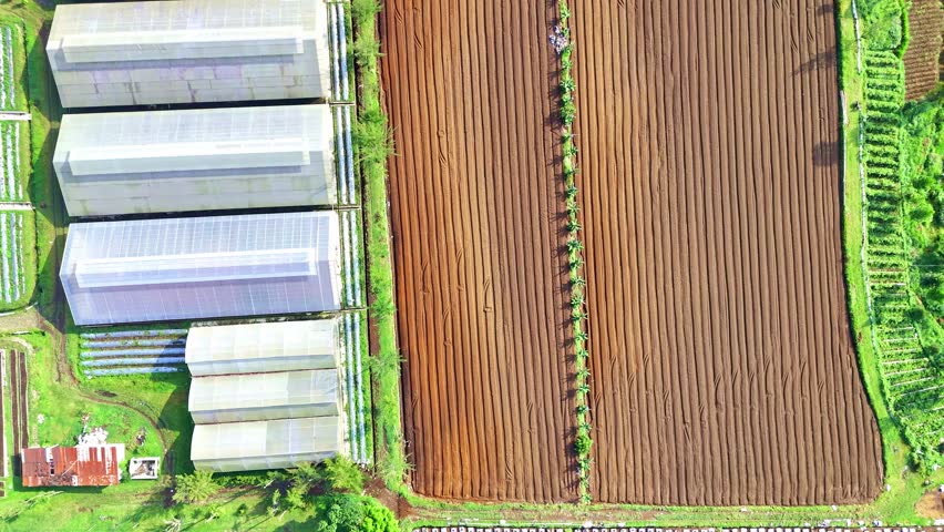 Overhead drone view of greenhouse is adjacent to plowed plantation field prepared to cultivate the crops. Drone camera directly top down shot. Agribusiness industrial concept.
