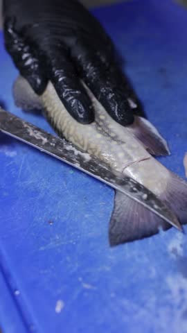 Chef filleting fresh fish on blue cutting board