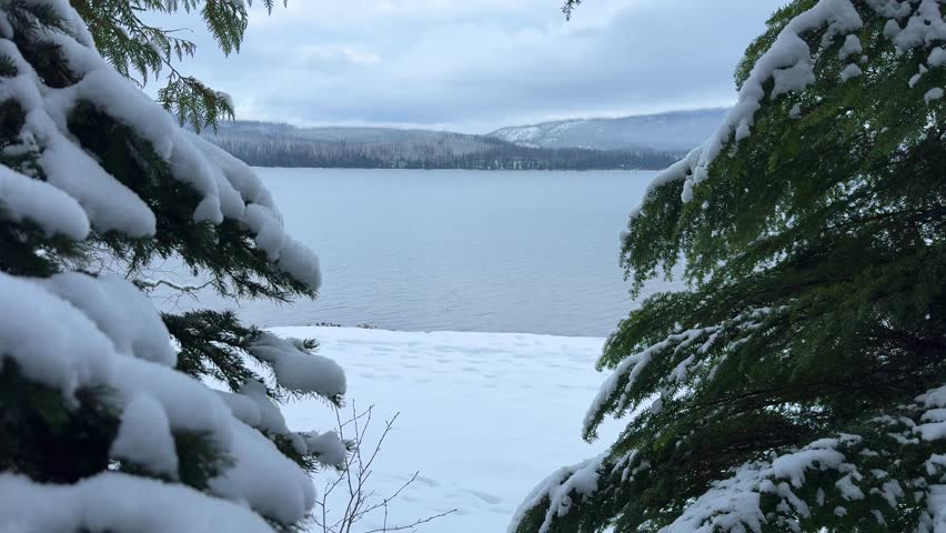 Lake McDonald Winter View Snow Covered Trees Glacier National Park