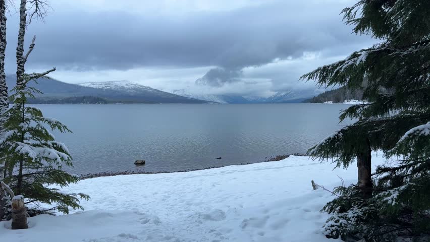 Frosted Trees at Lake McDonald Glacier National Park
