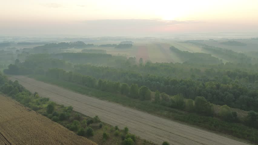 Rural landscape with morning fog and green fields