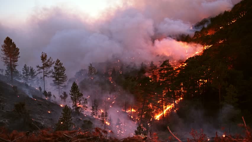 Aerial view forest fire on the slopes of hills and mountains. Wild fire in tropical forest. Large flames from forest fire. Summer forest fires. Natural disasters, Global Warming.