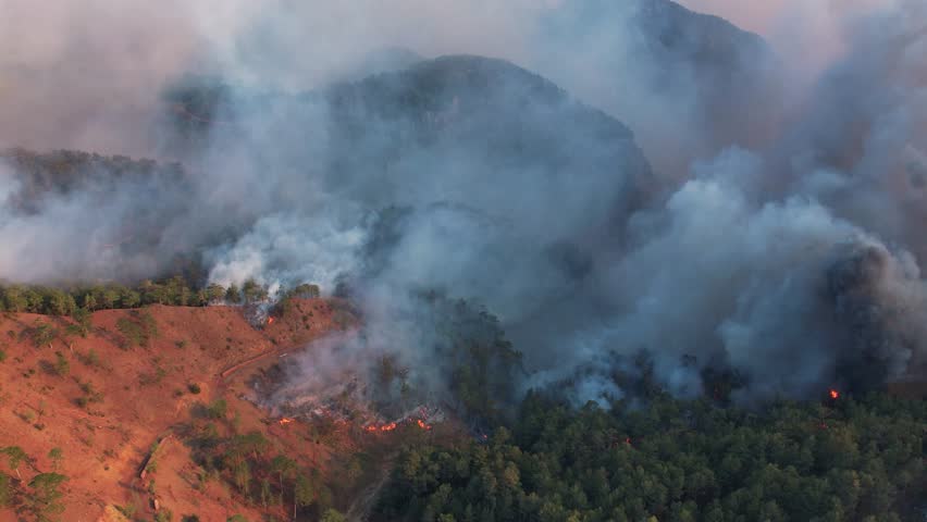 An aerial view of a forest fire spreading across a hillside, with thick smoke billowing into the sky. The the intense flames and the environmental impact on the surrounding landscape.