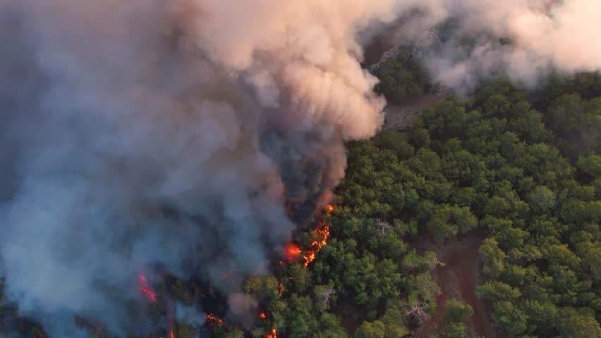 An aerial view of a forest fire spreading across a hillside, with thick smoke billowing into the sky. The the intense flames and the environmental impact on the surrounding landscape.