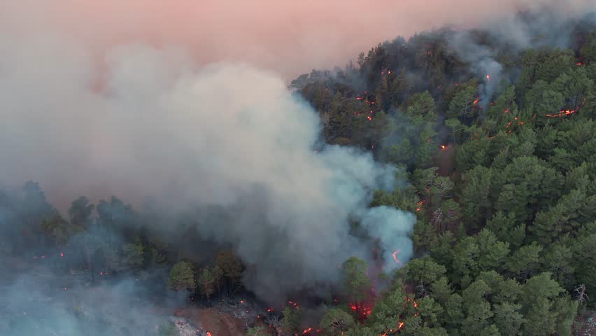 An aerial view of a forest fire spreading across a hillside, with thick smoke billowing into the sky. The the intense flames and the environmental impact on the surrounding landscape.