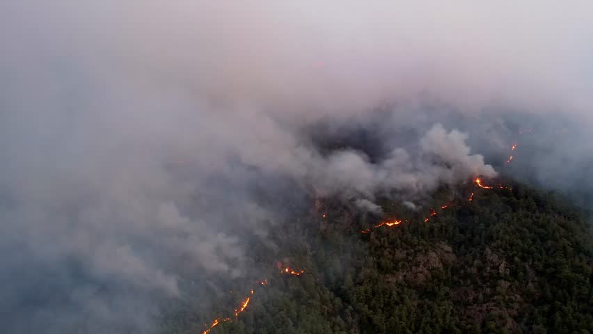 An aerial view of an active forest fire with bright flames lighting up the night sky. Firefighting vehicles are visible on a dirt road, the ongoing to control the blaze in the terrain.