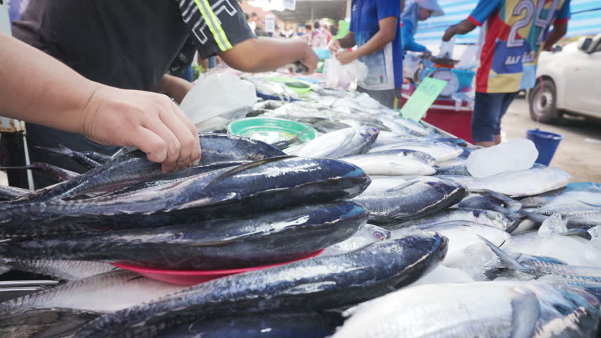 Many people hand buy seafood tuna fish in fishery traditional market Thailand