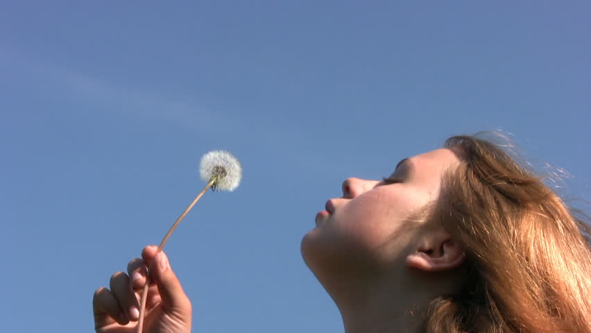 Bright cloudless sky. A teenage girl blowing on a dandelion. The sun gilded her