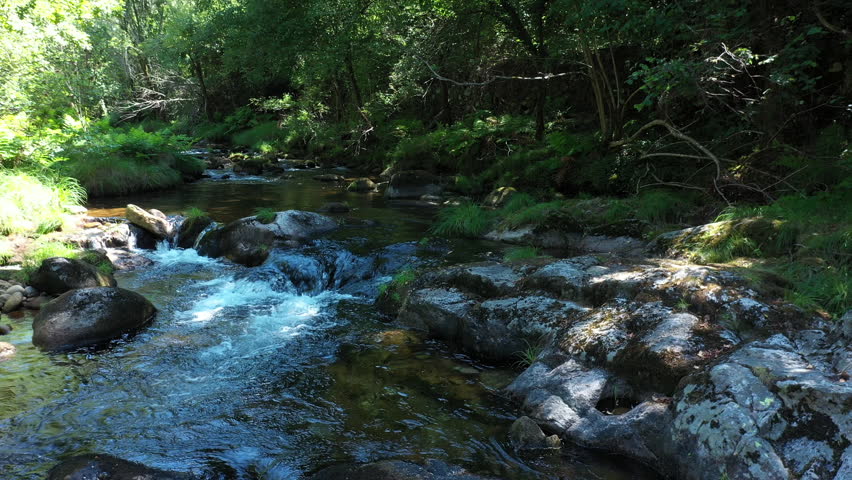 Mountain clear stream in the forest, natural landscape on a sunny summer day.