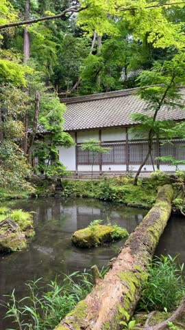 Kyoto temple, vertical video of the serene environment with greenery and a pond with water at the Honen-in temple on the Philosopher’s Path at daytime during spring in Kyoto city in Japan.
