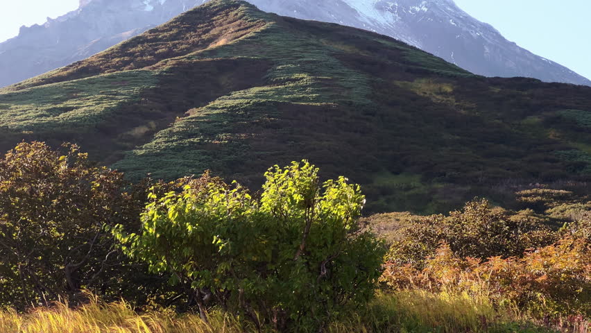 Breathtaking volcanic peak with snowy summit, towering over lush green cliffs. Sunlit autumn landscape with clear skies, showcasing nature power and beauty in a serene, majestic setting