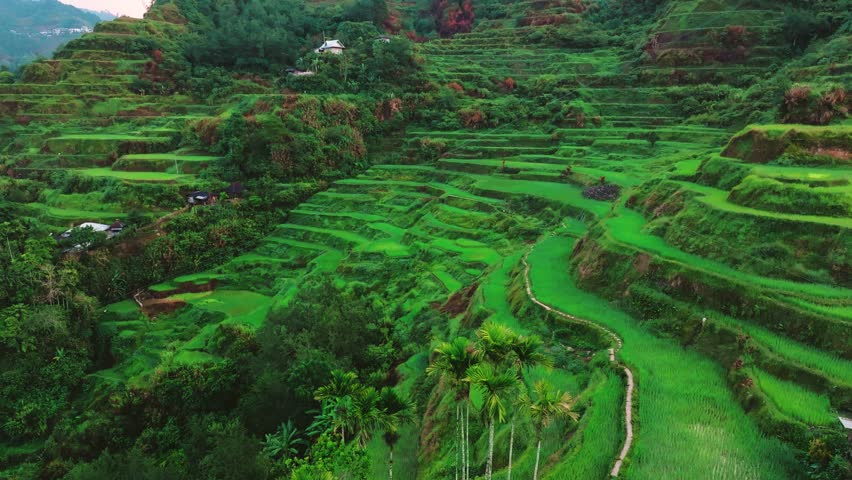 Aerial View of Banaue Rice Terraces, Ifugao Northern Luzon Philippines.  this UNESCO World Heritage Site, showcasing its unique cultural and agricultural significance