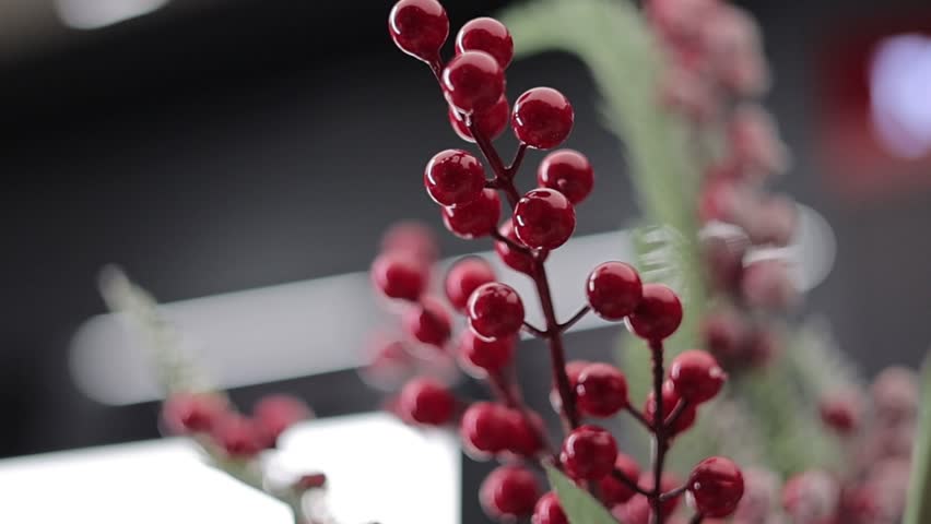 A closeup footage of the shiny winterberry Christmas decoration on a bright blurred background