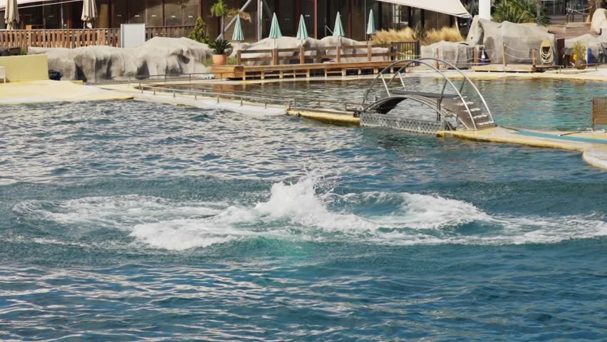 Killer Whale Show. A killer whale jumps out of the water.