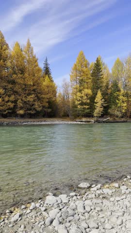Serene river with pebbled shore bordered by colorful trees in golden autumn hues