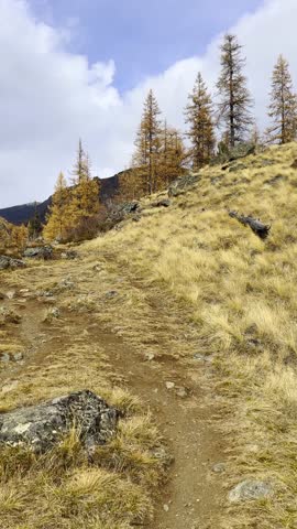 Autumn landscape featuring a trail through mountain terrain with trees and cloudy weather. Vibrant colors enhance the serene environment.