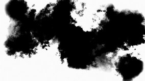 ink transition splatter blot spreading from the center to edges. Black ink style transitions mattes. White ink diffusing into black water.	
 - Powered by Shutterstock - Get 15% off with code: PIKWIZARD15