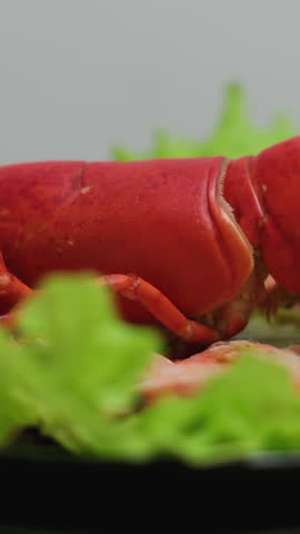 Mixed dish of different seafood prepared by a Peruvian chef. It includes lobster,shrimp,ceviche and vegetables.