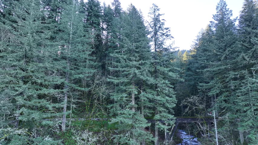 The beautiful Bridal Veil Falls flows through a healthy forest in the Columbia River Gorge National Scenic Area, Oregon. The gorge, not far from Portland, contains a plethora of scenic waterfalls.