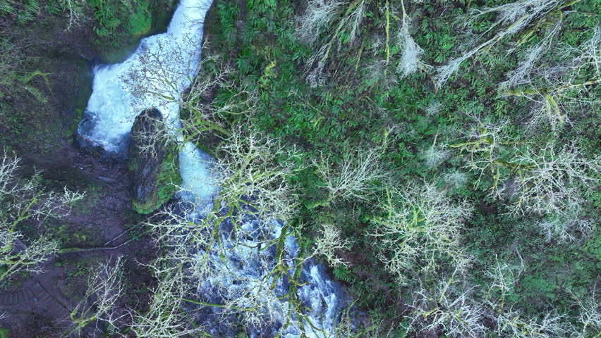 The beautiful Bridal Veil Falls flows through a healthy forest in the Columbia River Gorge National Scenic Area, Oregon. The gorge, not far from Portland, contains a plethora of scenic waterfalls.