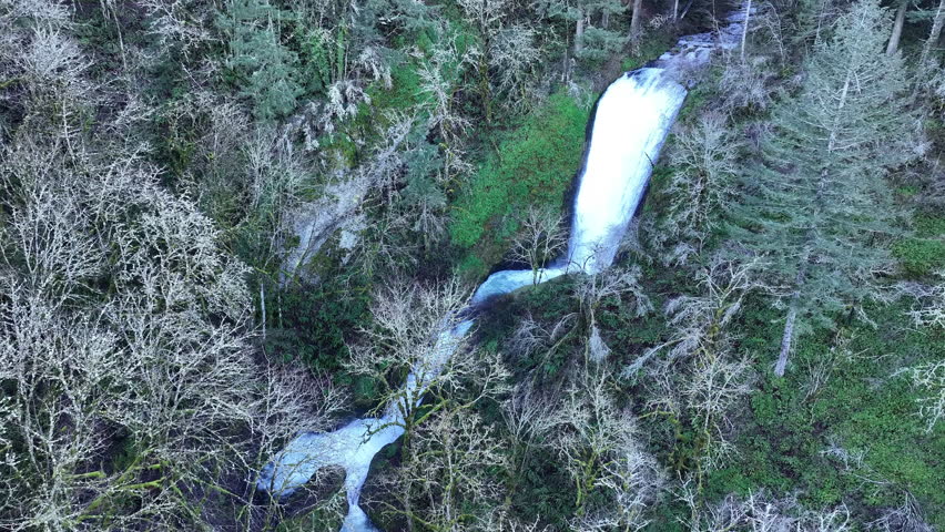 The picturesque Bridal Veil Falls flows through a healthy forest in the Columbia River Gorge National Scenic Area, Oregon. The gorge, not far from Portland, contains a plethora of scenic waterfalls.