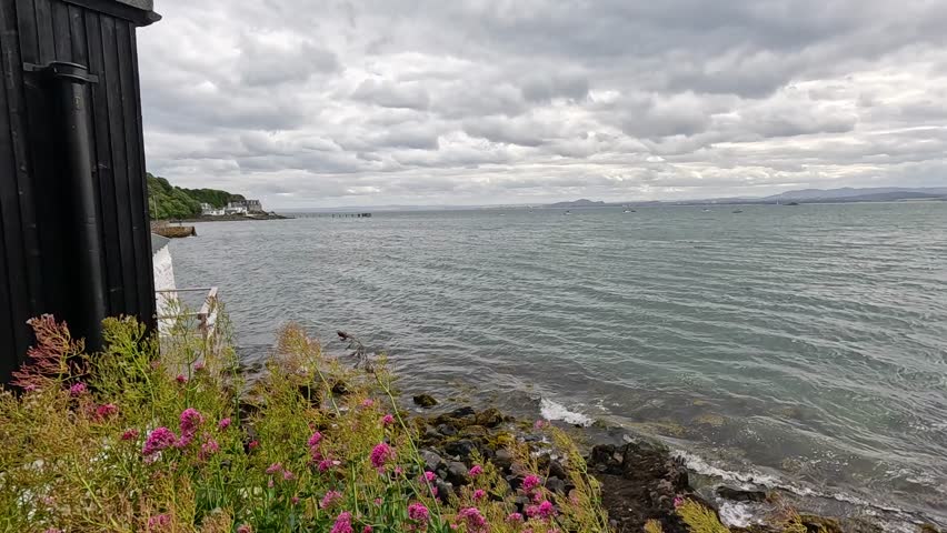 Scenic seaside with flowers and cloudy sky