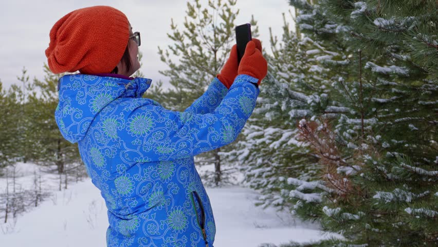 Capturing winter moments, person photographs snowcovered pine tree with smartphone