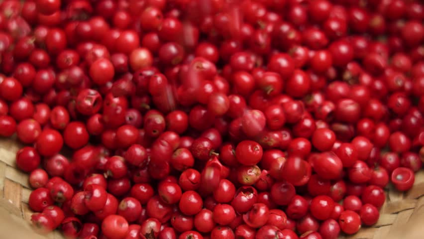 Red peppercorns seeds falling in slow motion into a rustic braided bowl. Dried whole pink pepper. Organic spice