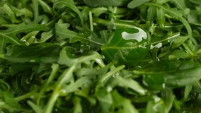Pouring olive oil on fresh green salad arugula and spinach - Powered by Shutterstock - Get 15% off with code: PIKWIZARD15