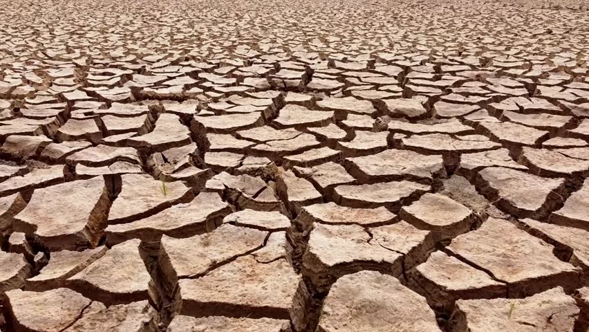 Cracked Earth Drought: A stark image of severely cracked earth, a powerful visual representation of drought and aridity. The texture and pattern of the cracked soil is intensely detailed.