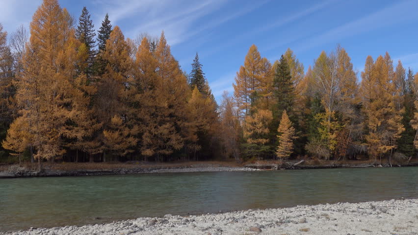 Tranquil autumn scene with vibrant orange and yellow forest beside a gentle river and rocky shore.