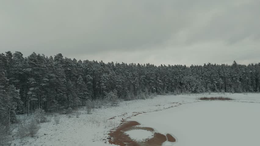 Snow Covered Forest With Observation Tower in  the National Park of Latvia Lielie Kangari. Aerial Drone Shot. European Nature Cold Winter Evening With a Snowy Forest.