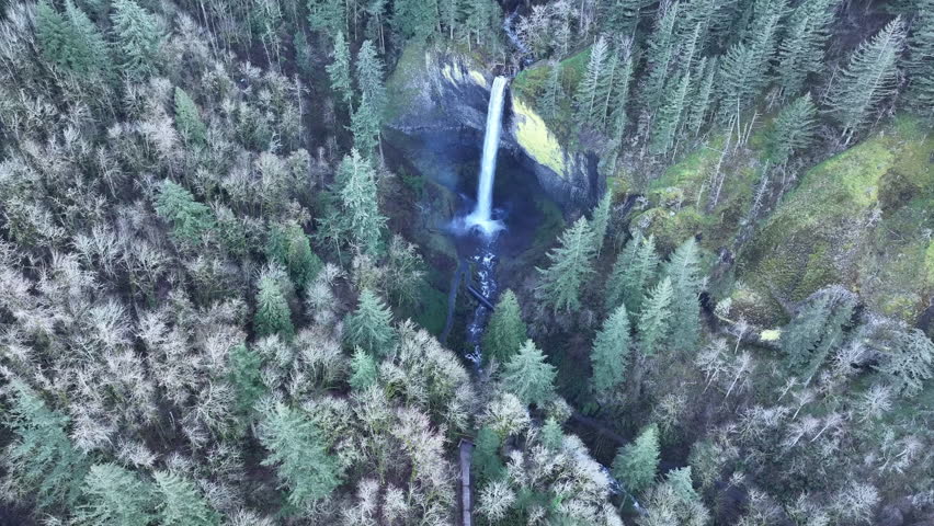 The picturesque Latourell Falls flows out of a healthy forest in the Columbia River Gorge National Scenic Area, Oregon. The gorge, not far from Portland, contains a plethora of beautiful waterfalls.