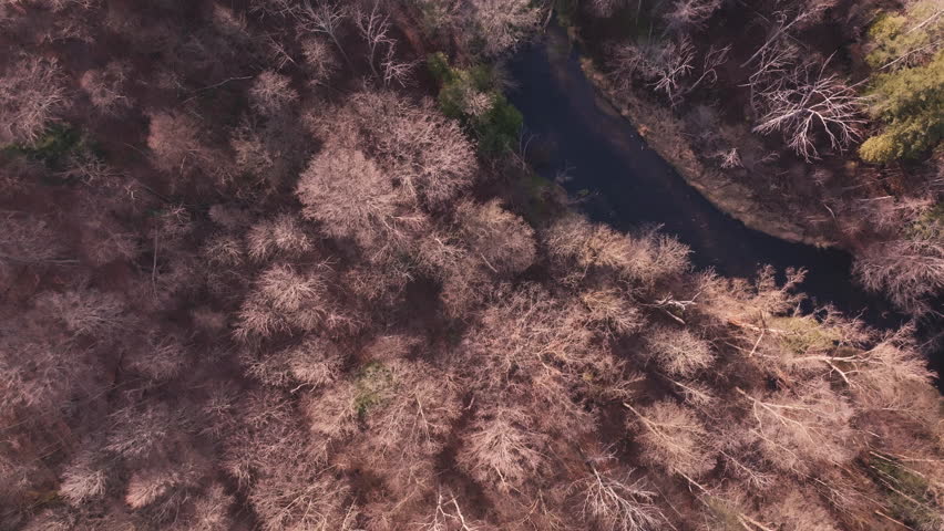 Calm aerial view of Bronte Creek in fall with bare trees and serenity