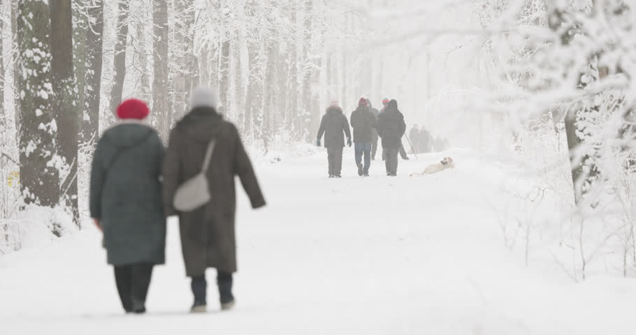 People walking in snow-covered public park in holidays, winter fairy tale in the forest, snow-covered tree branches, heavy snowfall, large flakes of snow are slowly falling, snow storm, blizzard