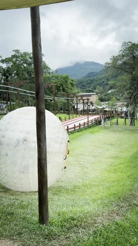 A Giant Plastic Ballon Rolling Down the Green Grass with People Inside