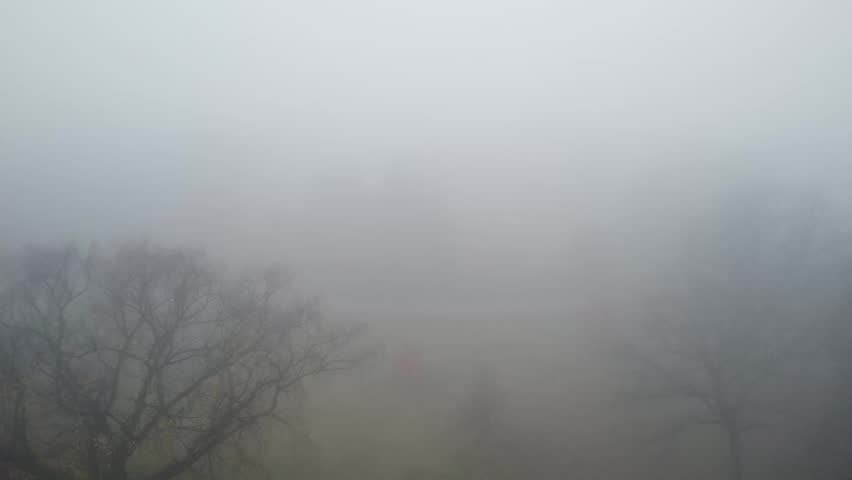 A day with dense fog over the trees and buildings of the city in Minnesota