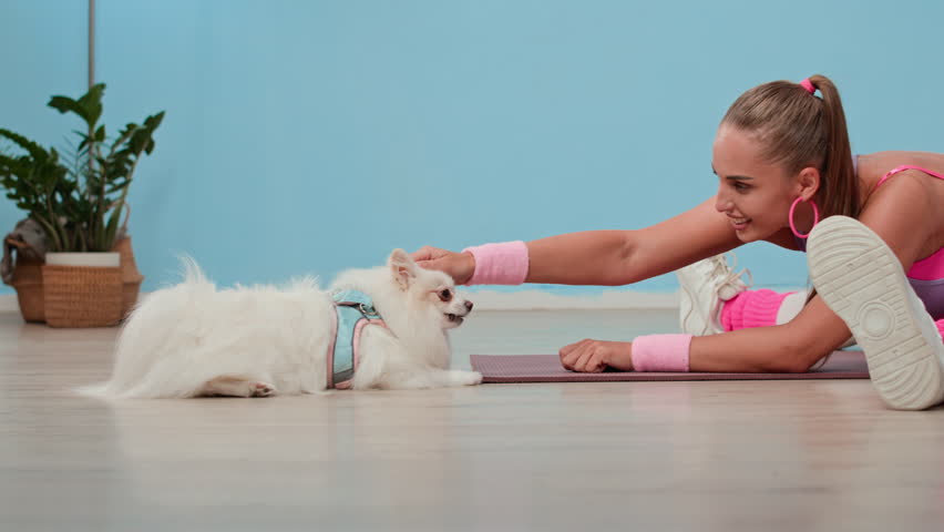 Pan shot of young Caucasian sportswoman in retro sportswear stroking fluffy white dog while sitting in leg-split during indoor workout