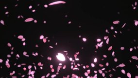 Cherry blossom storm
Confetti
Frame-in from the bottom of the screen
Falling cherry blossom petals
CG
Particles
Focus blur
3D CG
4K - Powered by Shutterstock - Get 15% off with code: PIKWIZARD15
