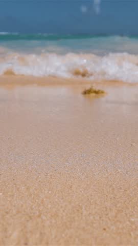 Slow motion. Wave Water white foam of the Atlantic Ocean wave of Domanicain republic. Holiday and relax concept. Teal and orange. Wide shot. Vertical shot.