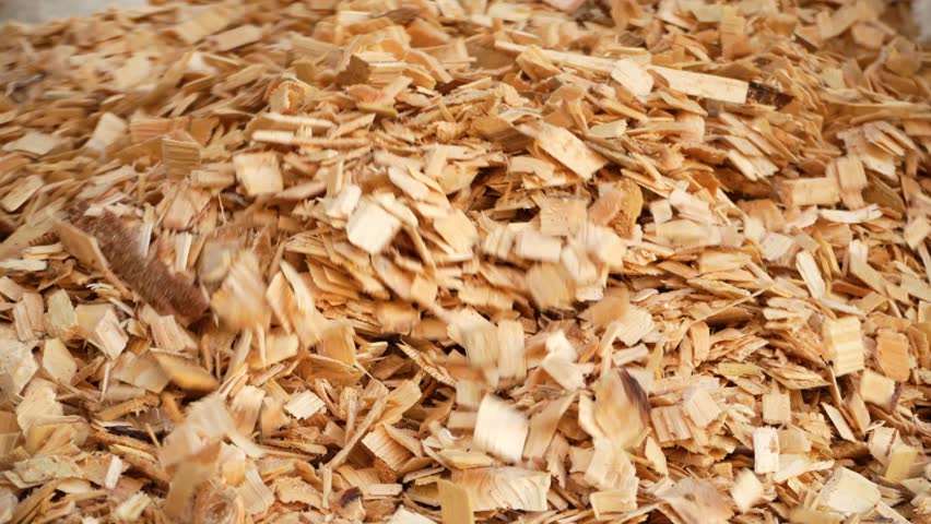 Drying of wood chips. Paper production. Forest industry