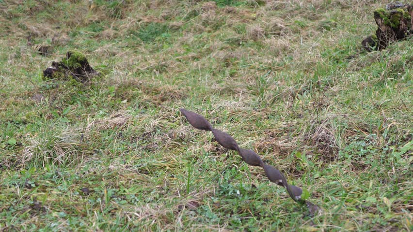 War debris Douaumont ww1 Verdun Battlefield