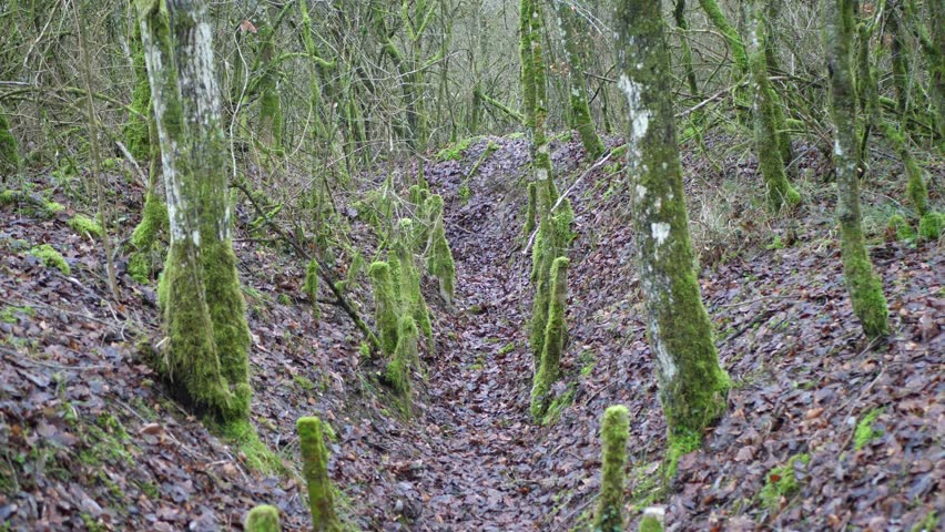 London trench trench warfare Douaumont Verdun 1916 ww1